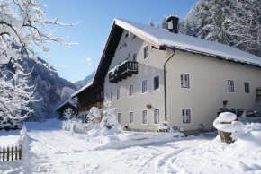 Отель Ferienwohnung Bluntaumühle, Голлинг-На-Зальцахе